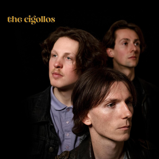 The Cigollos