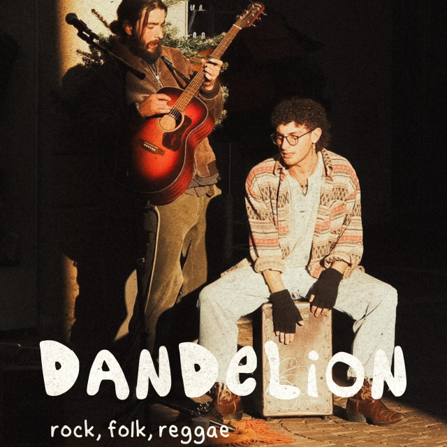 DanDeLion.music